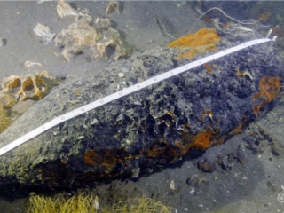 致远舰文物有望破解三大公案