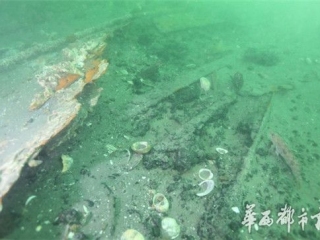 致远舰发现北洋海军将士遗骸