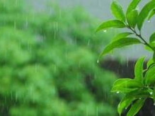 蒲江上一轮强降雨结束 临溪河大桥继续封闭