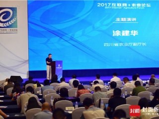 四川省农业厅副厅长涂建华:从六大方面“牵线”,为互联网+与四川农业“联姻”