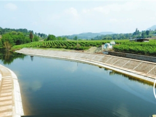 四川仪陇:以河长制促“河长治”