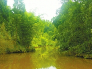 “互联网+”助推南充“河长治”