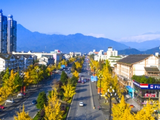 都江堰市获得“四川全域旅游示范奖”称号