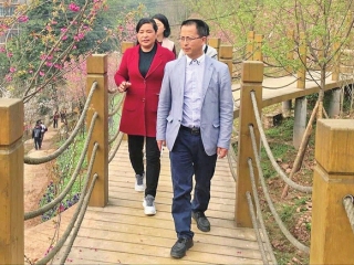 “旅游+”战略引领 建全域旅游示范镇