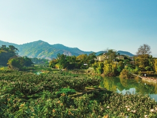 “难拒绝这甜蜜的味道” 段子手冯喆“带盐”攀枝花枇杷