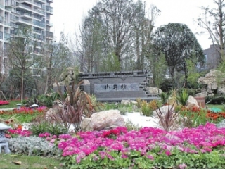 党建引领社区治理 幸福密码在这里