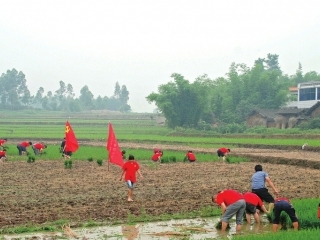 探索“党员+村民”带动发展模式 实现乡村振兴