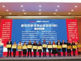 党建引领谱新篇 社区榜样受表彰