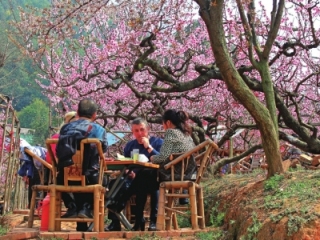 书写社区治理乡村振兴成都篇章