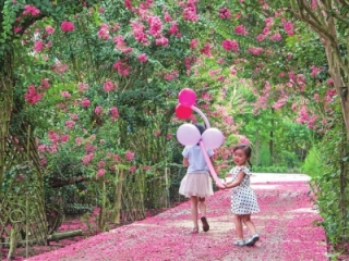 从寿安走向世界 匠人引领乡村振兴