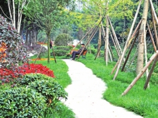 邀您漫步花园街区 体验智慧养老“家” | 专访武侯区晋阳街道党工委书记欧奎军