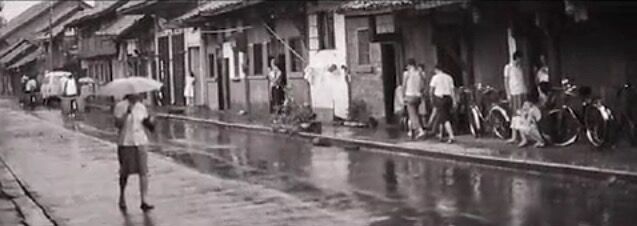 川版超级IP巨黄鸭 风风火火闯香港