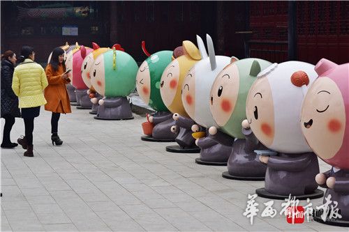 超萌！12生肖萌宝亮相成都大慈寺