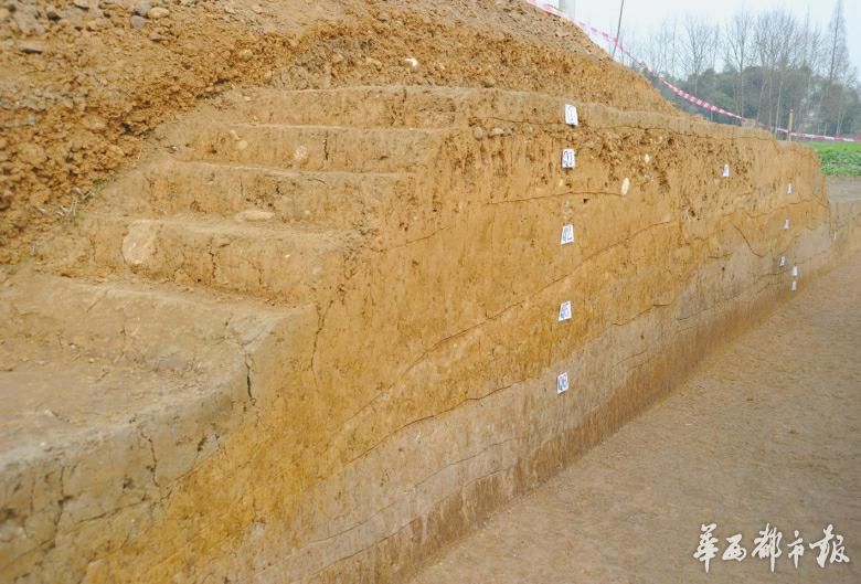 宝墩古城和其他七座古城:郫县古城,温江鱼凫城,都江堰芒城,崇州双河