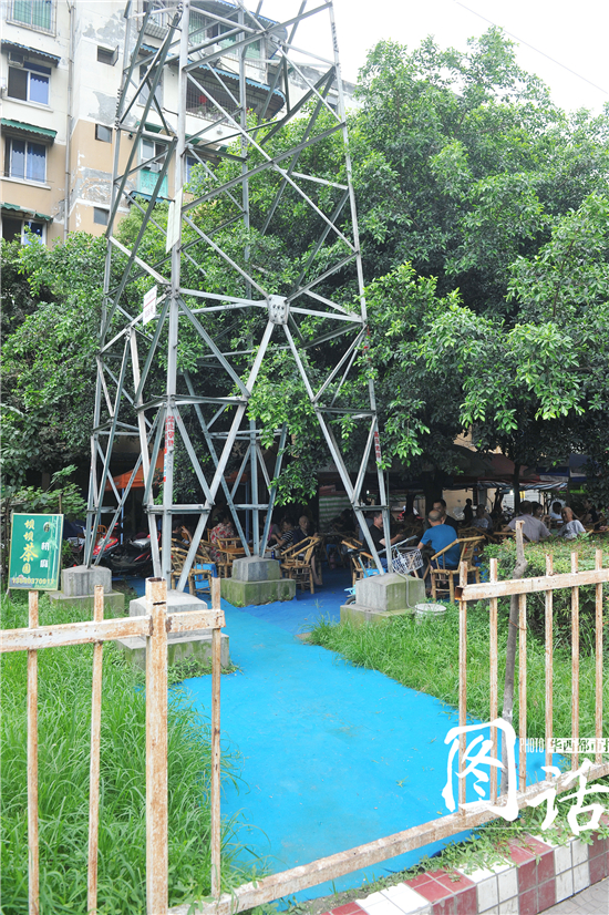 公共绿地变露天茶馆市民高压铁塔下喝茶打麻将有触电危险