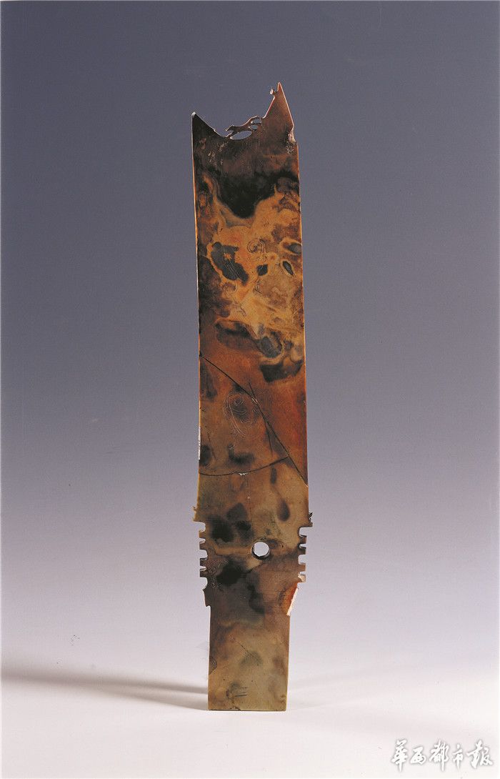 古蜀大地文明密码5|玉蝉清绝:只身入蜀埋金沙 回首故乡在中原