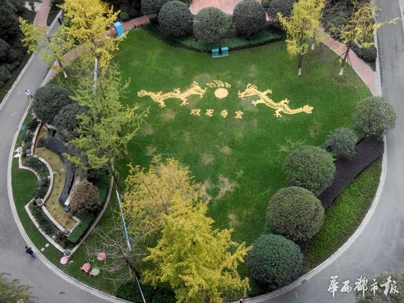 落叶拼出廊桥,长城 成都最文艺绿化工用银杏叶拼画走红网络