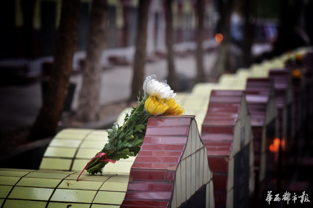 清明扫墓鲜花寄哀思公墓里少了烟熏火燎