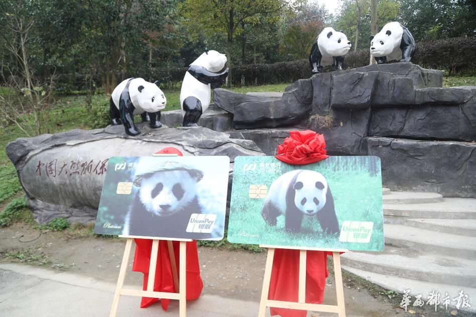 浦发推出"动感熊猫"信用卡 助力大熊猫公益事业